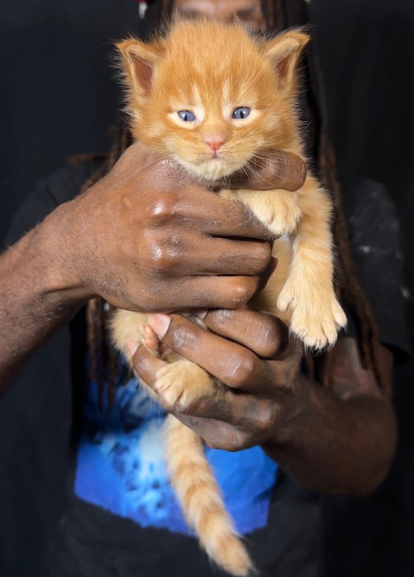 Dave