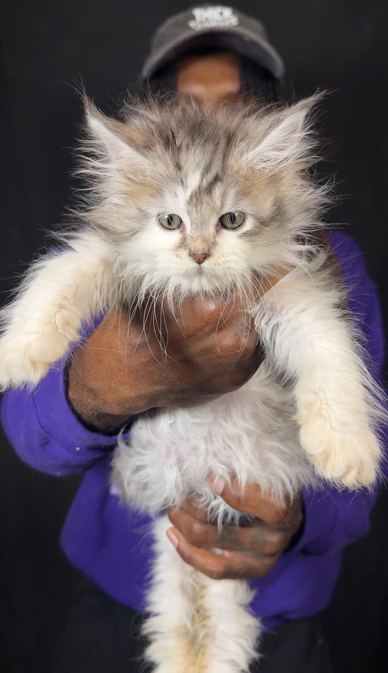 Meredith Gray